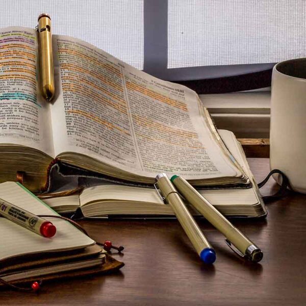 Bitesize Bible Study