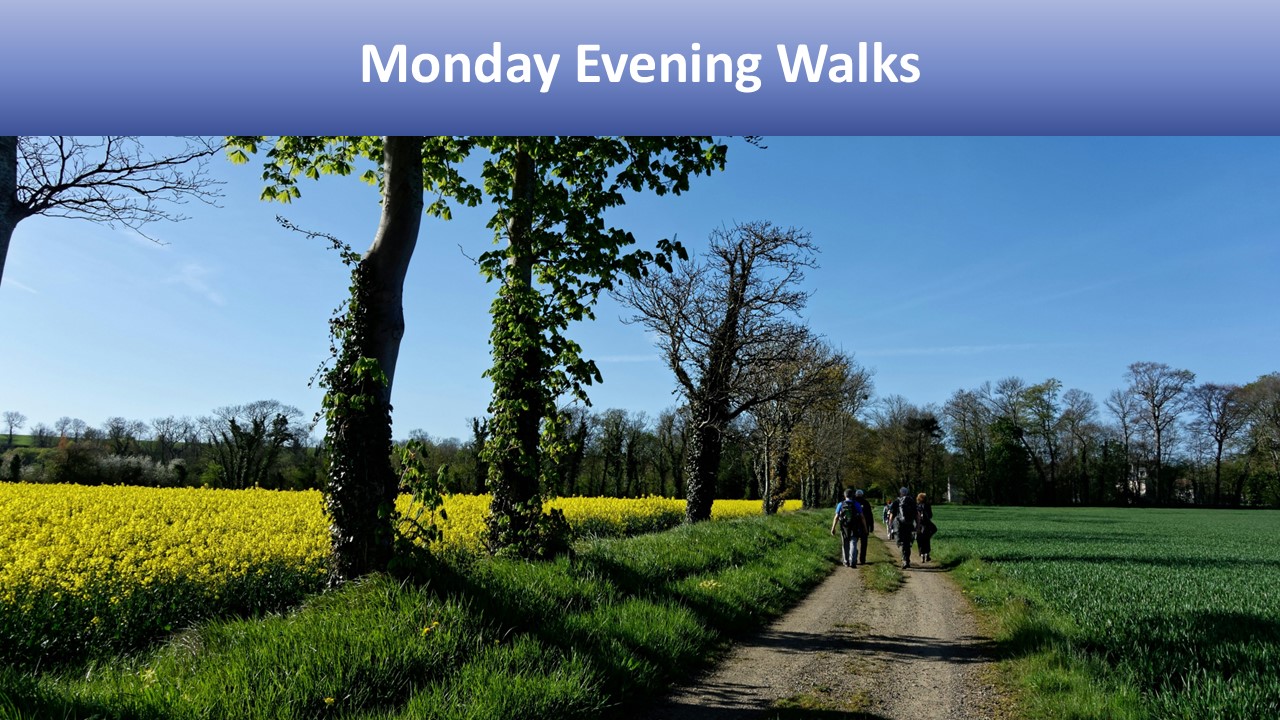 Monday evening walks with photo of group walking along sunny lane