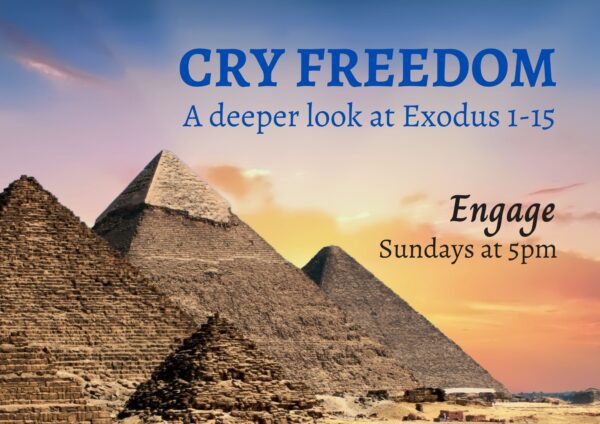 Cry Freedom Engage on photo of pyramids